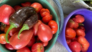 КОНСЕРВИРУЮ ОГУРЦЫ. НАРВАЛИ АБРИКОС. В ТЕПЛИЦЕ СПЕЮТ ПОМИДОРЫ. В КИНО. ЖИЗНЬ В ДЕРЕВНЕ.