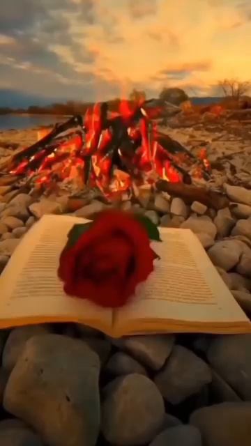 بگو که گل نفرستد ، _برجستهسازی смотреть онлайн