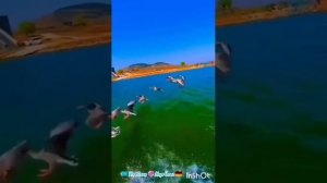 video_9438538438010.mp4