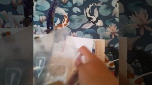 ᴩᴀᴄᴨоᴋоʙᴋᴀʕ༼◕  ౪  ◕✿༽ʔ(⌒▽⌒)☆