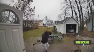 FailArmy.
Dumbest Fails of the Week