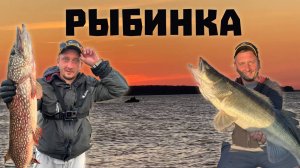 Синец на фидер. Копченный берш. Уха из щуки. Лучшая рыбалка!