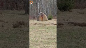 Знакомство с Кругом Души! ДЭИР-ОПЧ) Андрей Гунько.