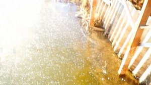 Погибла рыба по первому льду .Известкование.