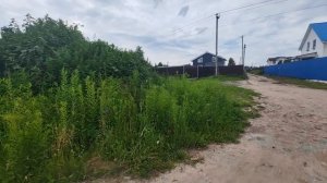 petal_20250731_124144.mp4