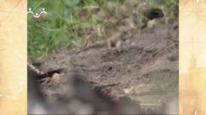 Наставления преподобного Серафима Саровского. О посте