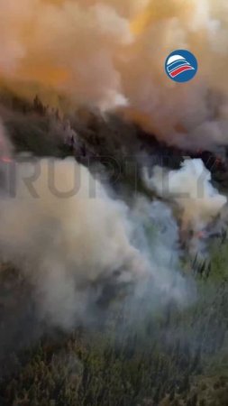 Гранд-Каньон в огне: пожар не утихает с 4 июля, площадь возгорания достигает 40 тысяч гектаров