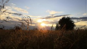 ЖИВЁМ СЕБЕ ПО МАЛЕНЬКУ. 
НЕМНОЖКО СЕГОДНЯ, НЕМНОЖКО ЗАВТРА - И ТАК ДАЛЕЕ.