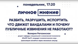 Разбить, разрушить, испортить. Что движет вандалами и почему публичные извинения не работают