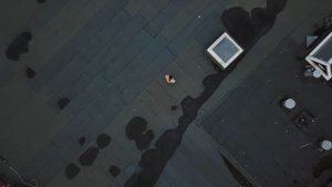 2791789-uhd_3840_2160_24fps