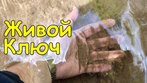 Живой ключ. Уникальный родник в Удмуртии. Он реально живой!