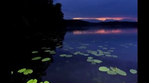 9. Я буду слушать дождь