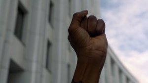 9427801-uhd_3840_2160_24fps