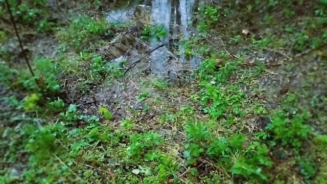 | Вселенная масок | Документальный фильм | смотреть онлайн