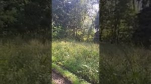 СЛОВА, ИДУЩИЕ ОТ СЕРДЦА... видео от Оксаны