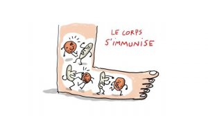 Pourquoi_certains_vaccins_sont_ils_obligatoires_?_1_jour,_1_question