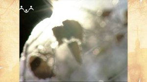 Наставления преподобного Серафима Саровского. Об искушениях