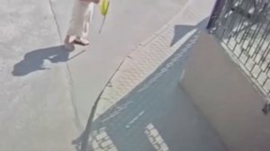 Женщина отбила свой пакет с деньгами.