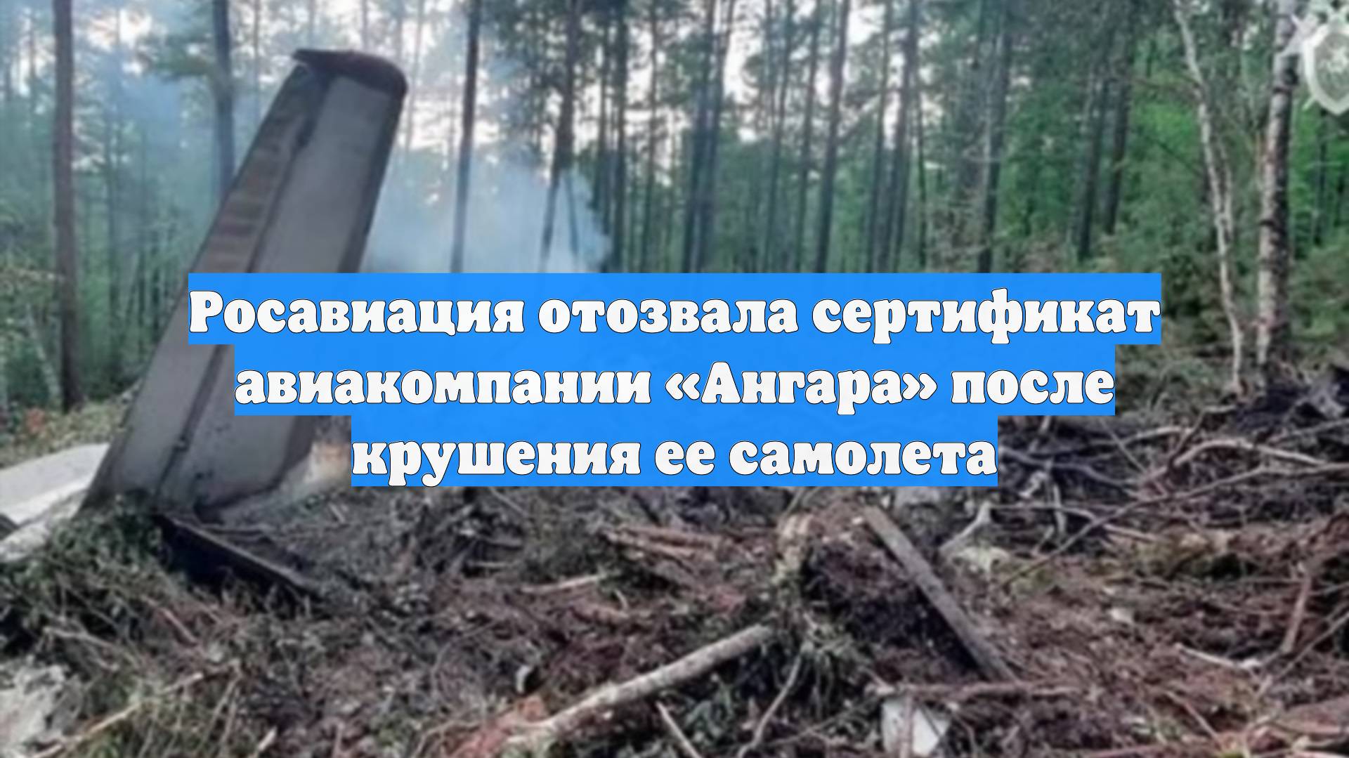 Росавиация отозвала сертификат авиакомпании «Ангара» после крушения ее самолета