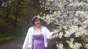 Елена Гаевская - Белая черёмуха (слова: Жигарев Александр, музыка: Вячеслав Добрынин)