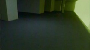 Backrooms 2 - Flood warning (found footage)