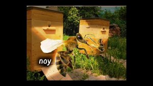 //АНИМАЦИЯ//АНИМАЦИЯ С ПЧЕЛОЙ//