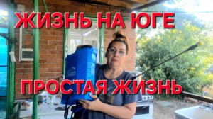 661 Городские Станичники. Жизнь на Кубани. Жизнь Просто и Легко.