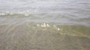 Отдыхаем на море 🏊