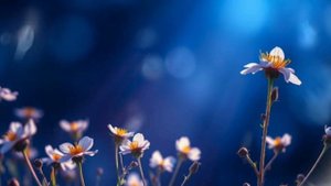 Релакс. Relax. Саксафон. Лесные цветы ИИ.