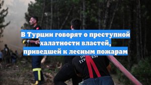 В Турции говорят о преступной халатности властей, приведшей к лесным пожарам
