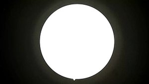 Видео, записанное на FHD эндоскопическую камеру (2)