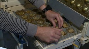 Печь кондитерская орех, тарталетка