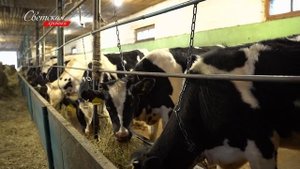 Экс солист легендарной группы «Bad Boys Blue» собирается переехать в российскую глубинку