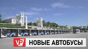 В ВОЛГОГРАДЕ 35 НОВЫХ АВТОБУСОВ ВЫЙДУТ НА 4 МАРШРУТА С 1 АВГУСТА