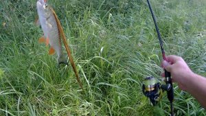 ГОЛАВЛЬ, ПОЙМАННЫЙ НА ЛУЧШИЙ ВОБЛЕР!