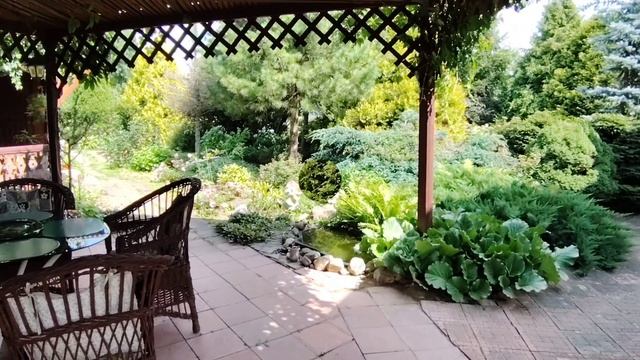 1000050867.mp4 смотреть онлайн