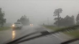 Ноябрь. Сергей Чекалин. November. Sergey Chekalin.