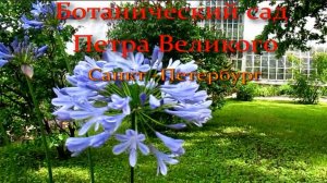 Цветочный рай в Петербурге