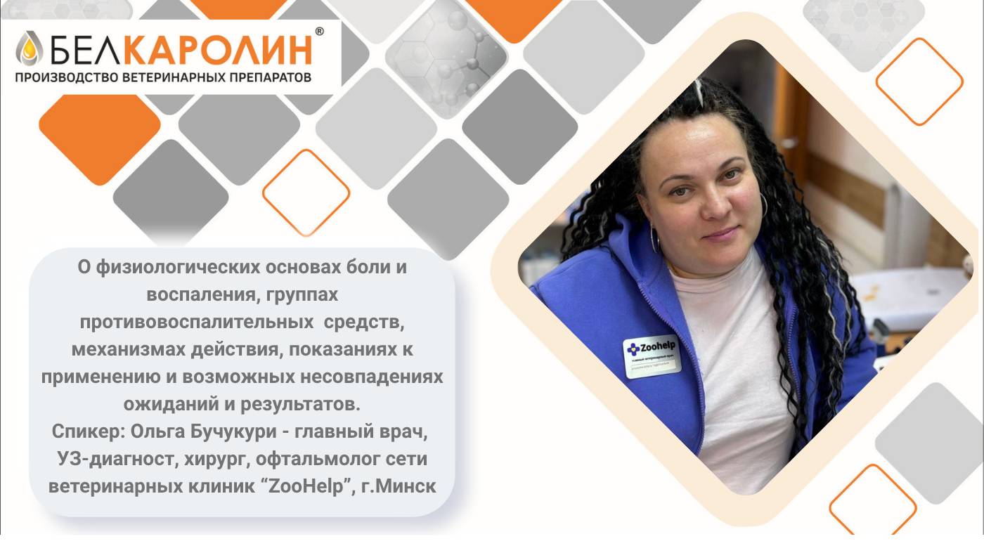 Вебинар 