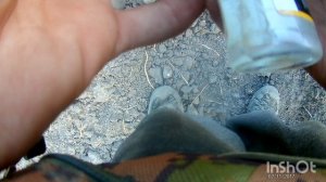 выкопал Николая с Владимиром, коп по старине, артефактов и раритетов