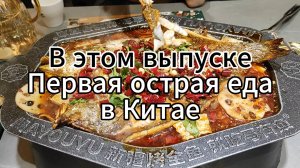 #5 Путешествие по Китаю: 1-ая острая еда в Китае | Синьцзян - Инин