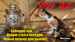 Отдыхать в деревне некогда!