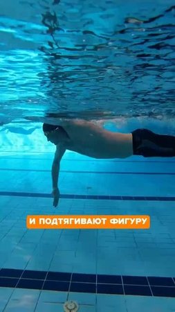 Какие бывают виды плавок: подробный разбор🏊🏼