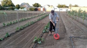 Адаптер+Плужок (5-выпуск)