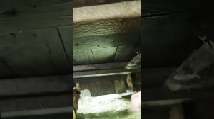 Погружение в речную пучину.Появился странный звук со дна. Ныряю с аквалангом на "внутренний аудит"