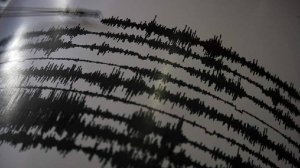 Землетрясение магнитудой 5,5 зафиксировали у берегов Камчатки