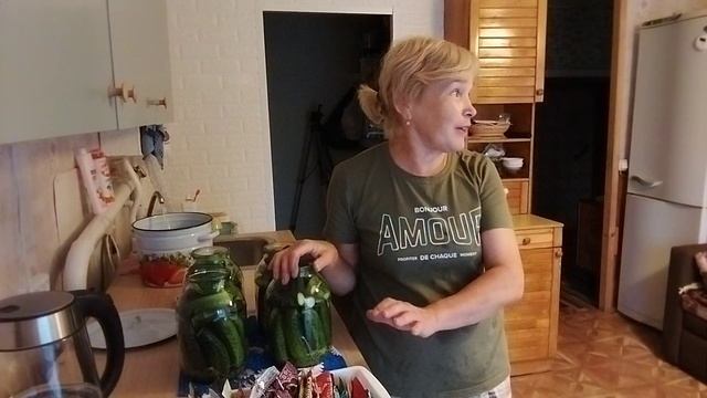 ИЗ ГОРОДА В ДЕРЕВНЮ. ХРОНИКА ДНЯ.