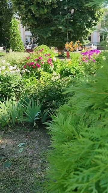 Чем нам запомнился Муром