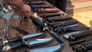 💚 Погрузись в атмосферу гор и гостеприимства!