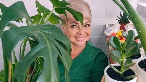 КАКОЙ ЗЕЛЁНЫЙ ДЕНЬ!!! КАКОЙ ЗЕЛЁНЫЙ ПЕНЬ! КАКОЙ ЗЕЛЕЫЙ Я! И ПЕСЕНКА МОЯ!